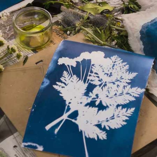 photogram Autumn Photograms