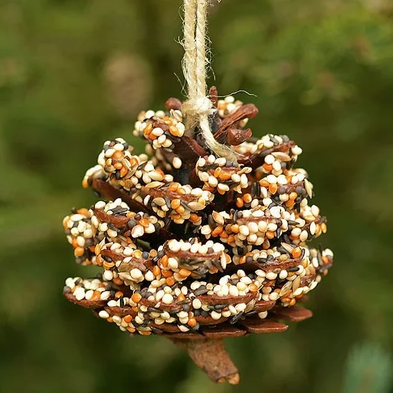 Pine cone covered in bird seeds for winter feeder
