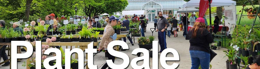 people shopping Lasdon plant sale