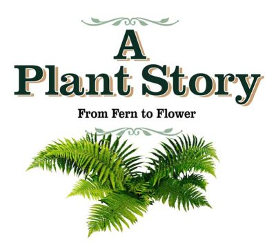 a-plant-story-square