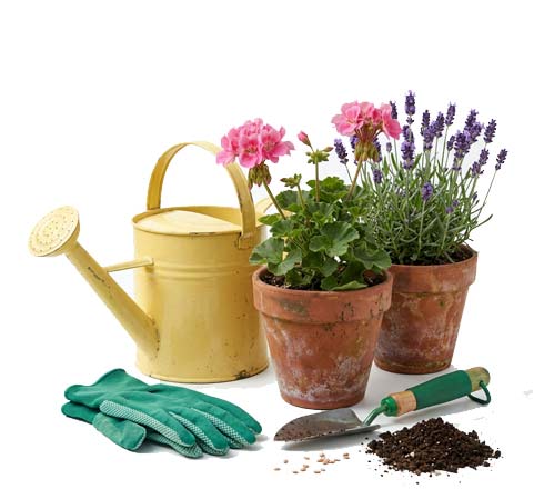 gardening gloves, plants and watering can